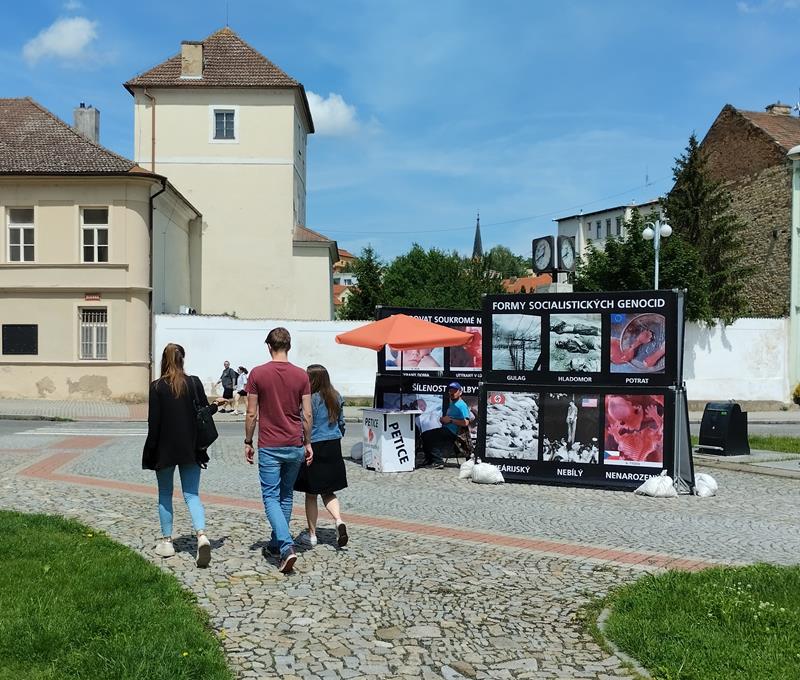 example image