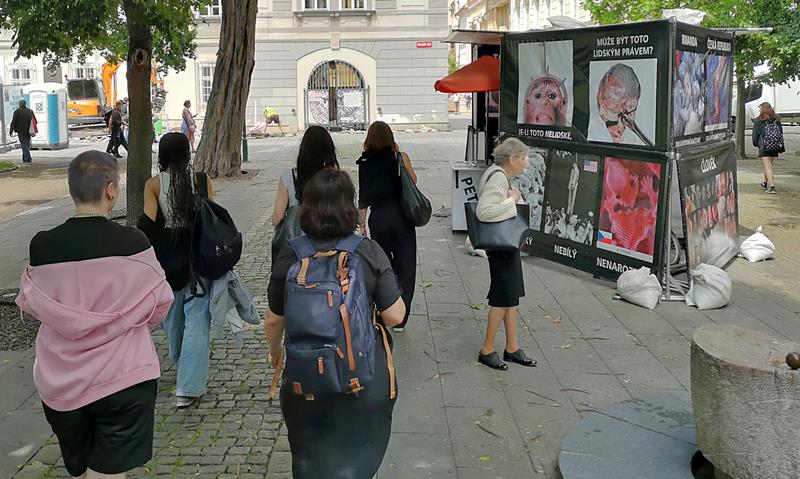 example image