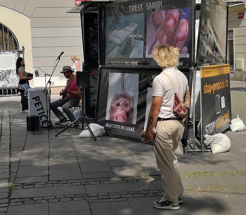 example image
