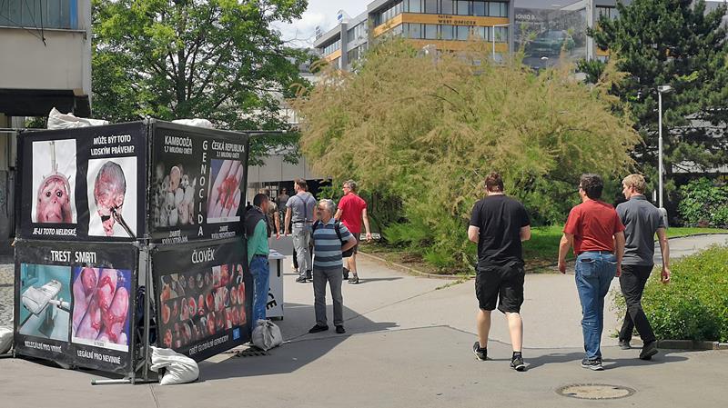example image